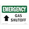 Signmission Safety Sign, OSHA EMERGENCY, 12" Height, Aluminum, Gas Shutoff (Up Arrow), Landscape OS-EM-A-1218-L-10390 - alternate 1